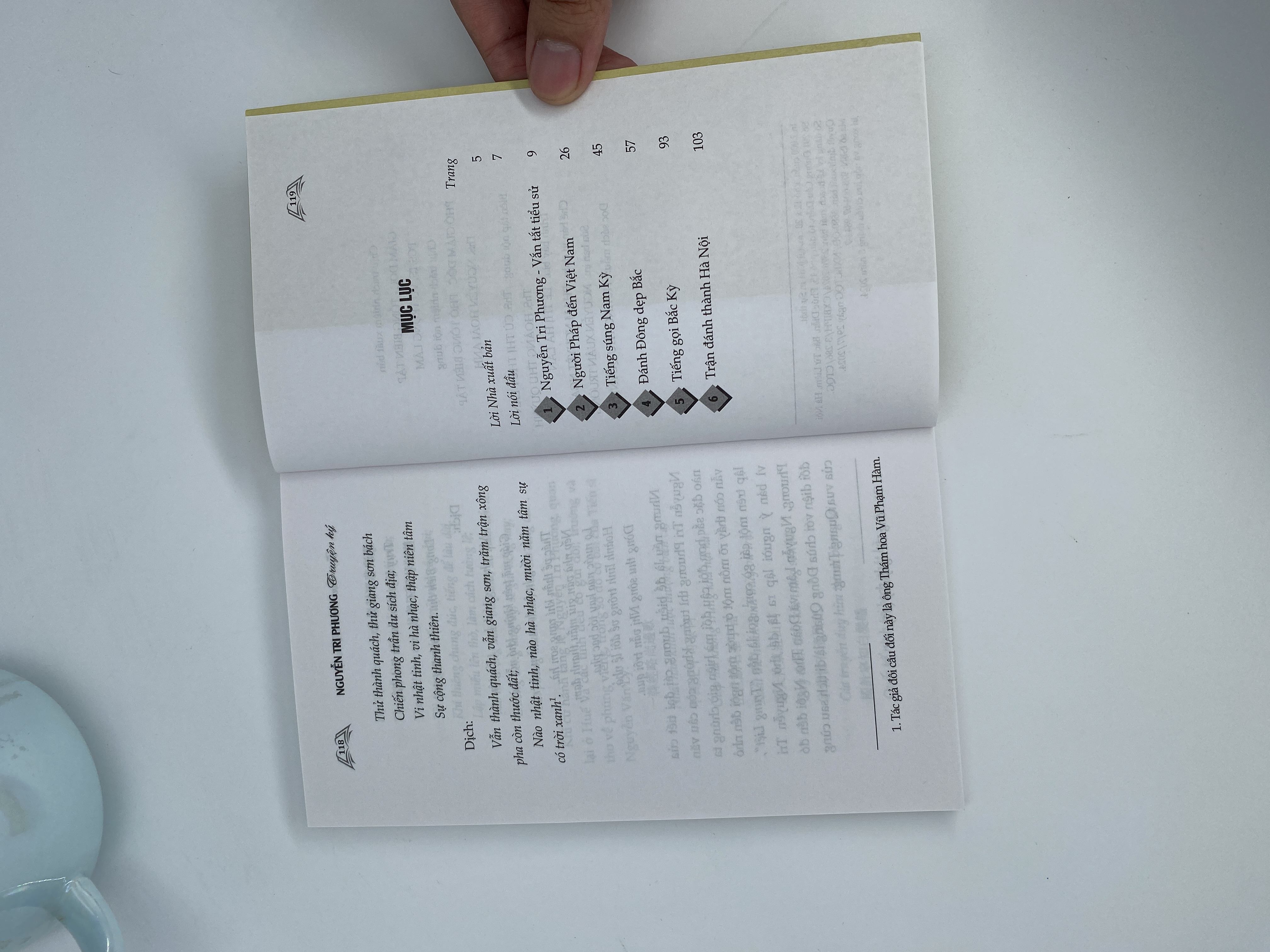 Nguyễn Tri Phương (Truyện ký)