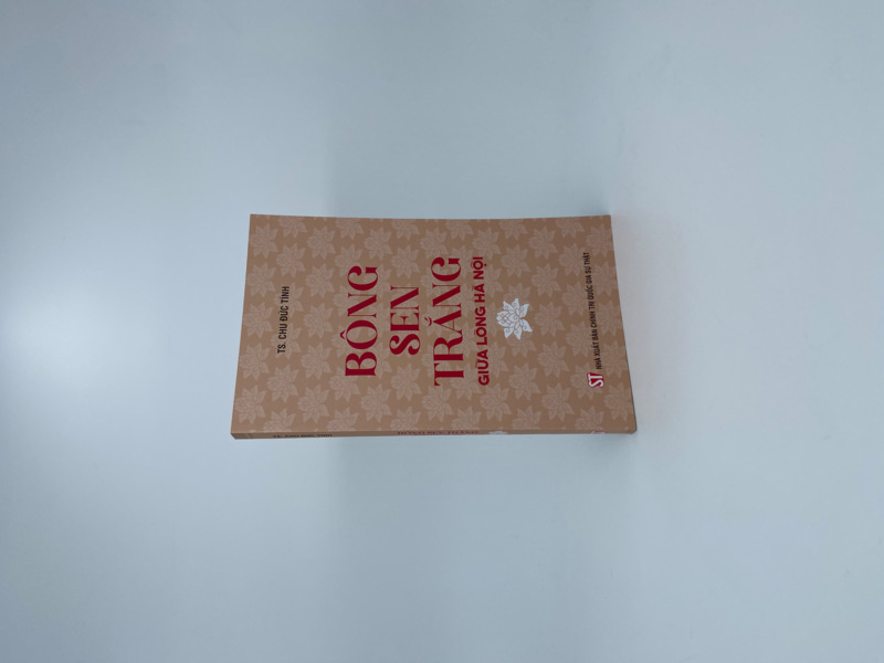 Bông sen trắng giữa lòng Hà Nội