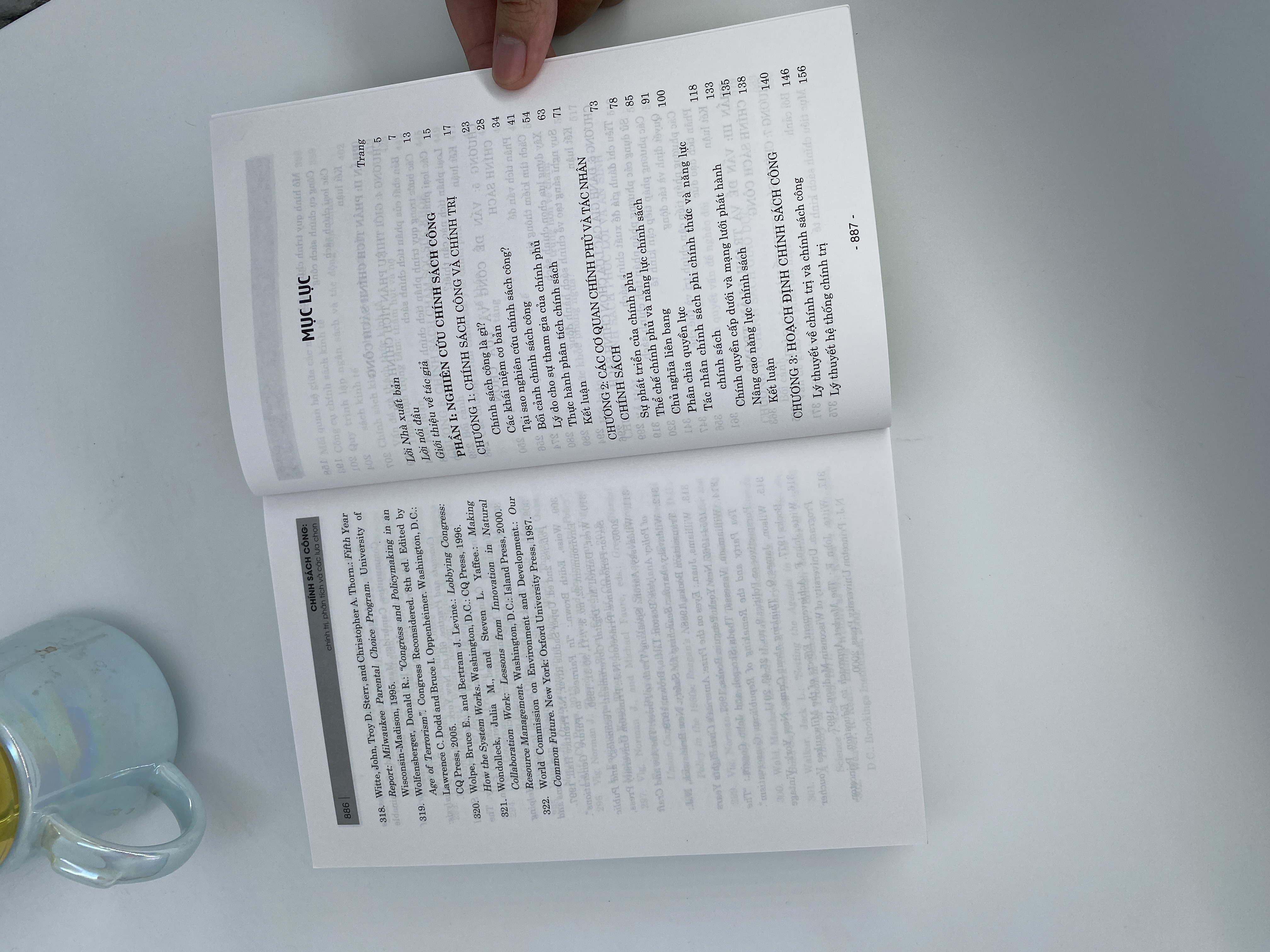 Chính sách công: Chính trị, phân tích và các lựa chọn (Xuất bản lần thứ hai)