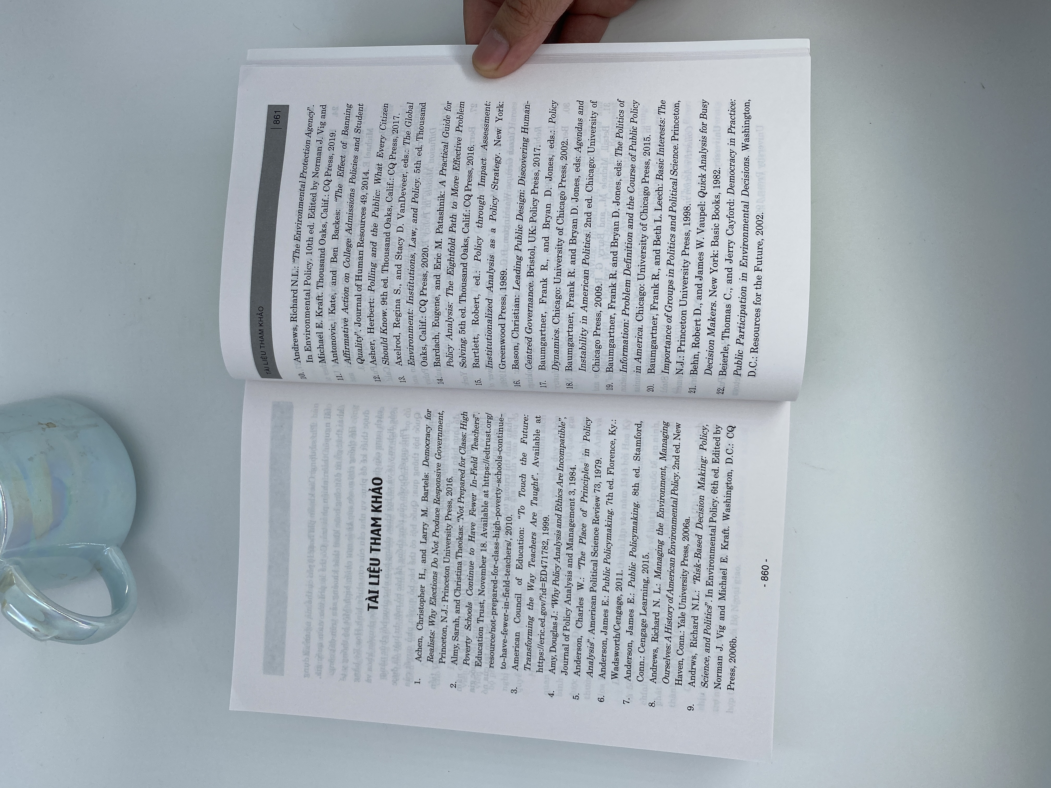 Chính sách công: Chính trị, phân tích và các lựa chọn (Xuất bản lần thứ hai)