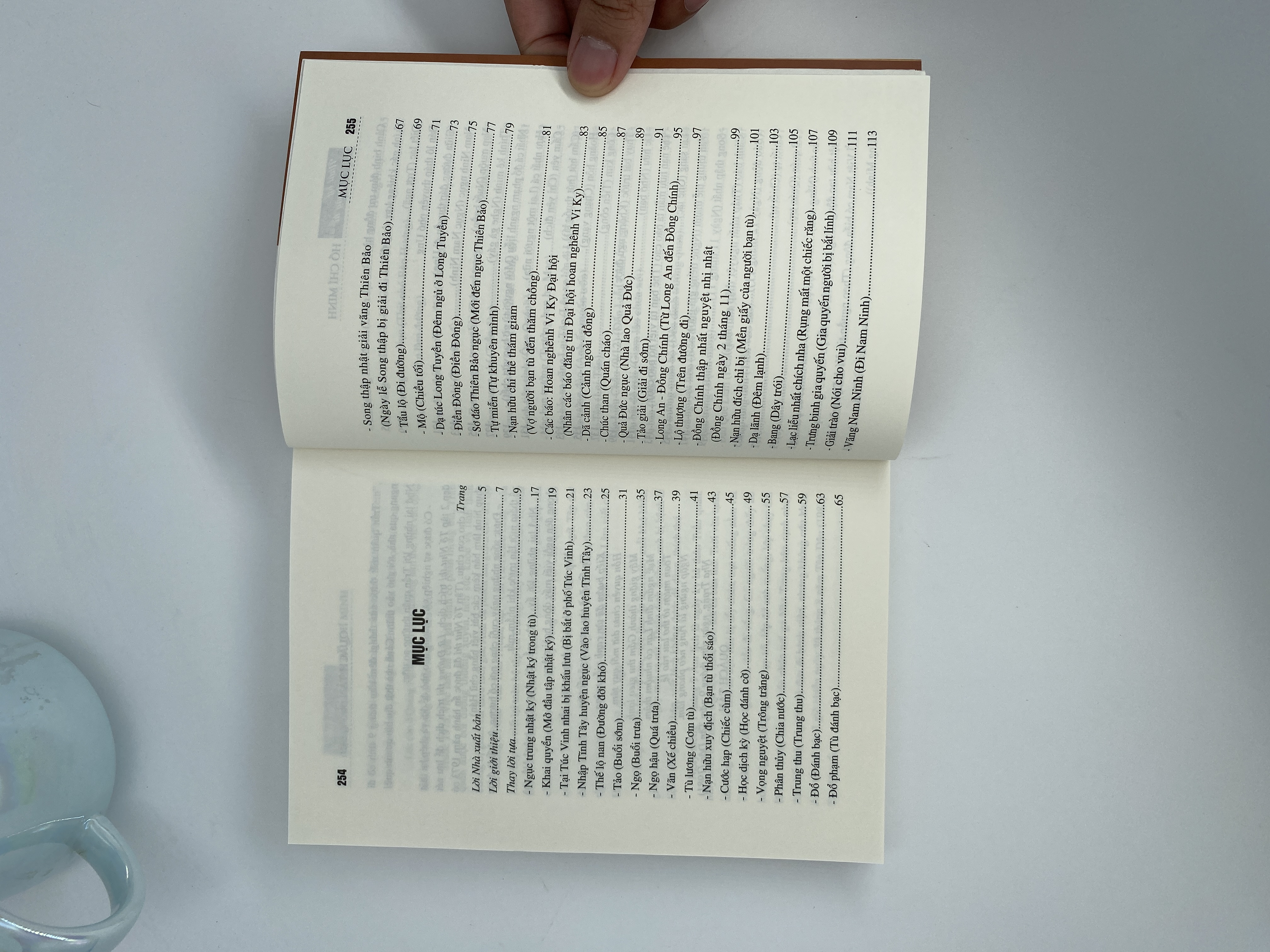 Nhật ký trong tù