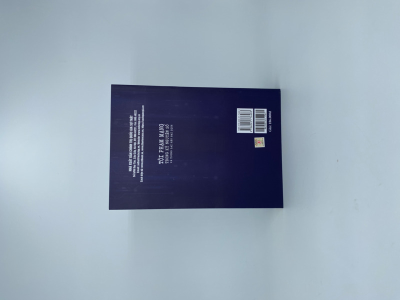 Tội phạm mạng trong kỷ nguyên số và tương lai hậu đại dịch (Sách tham khảo)