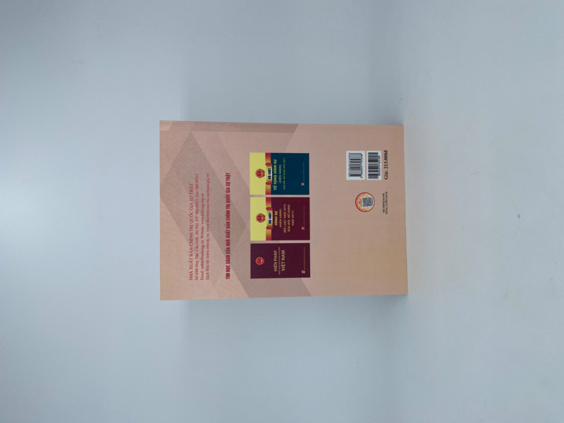 Nạn nhân học: Một số vấn đề lý luận và thực tiễn (Sách tham khảo)