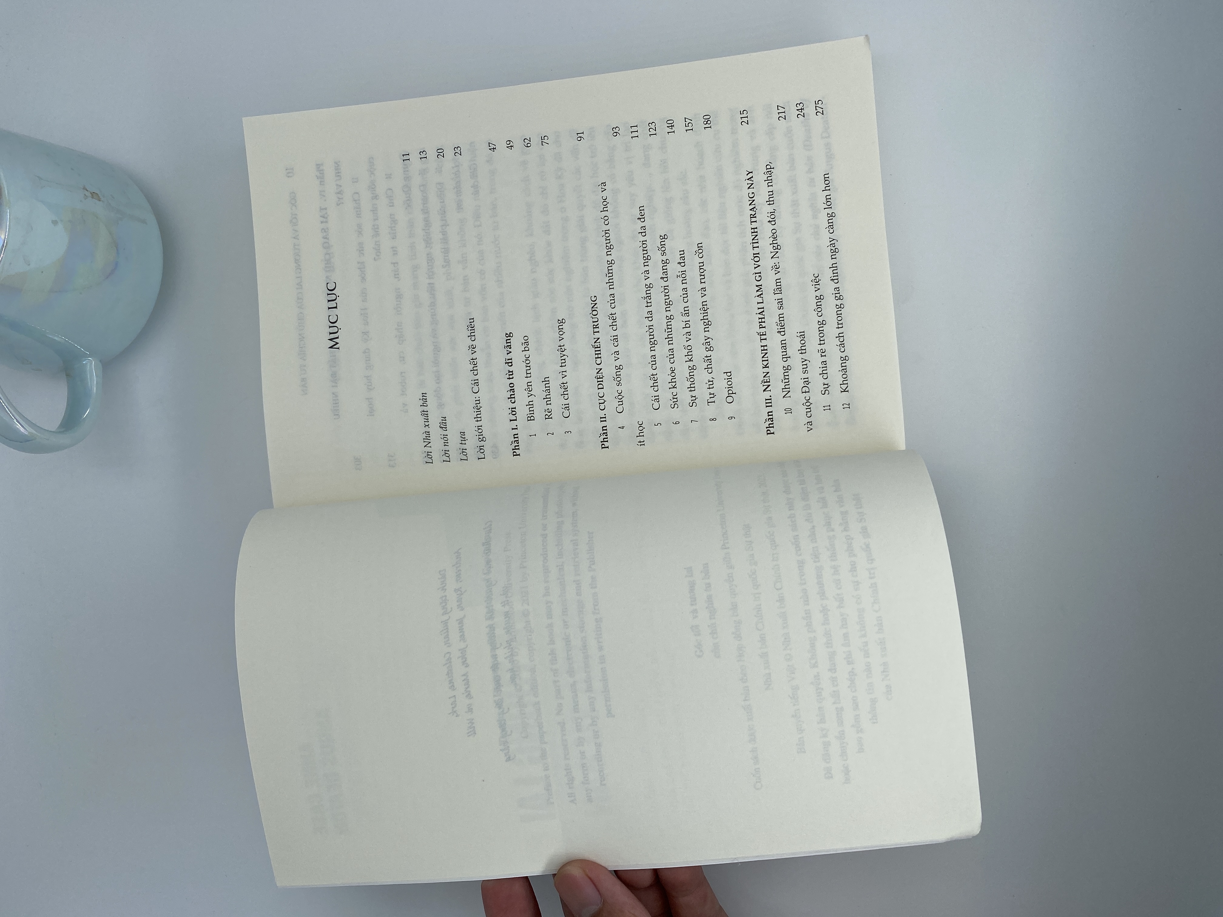 Góc tối và tương lai của chủ nghĩa tư bản (Sách tham khảo)