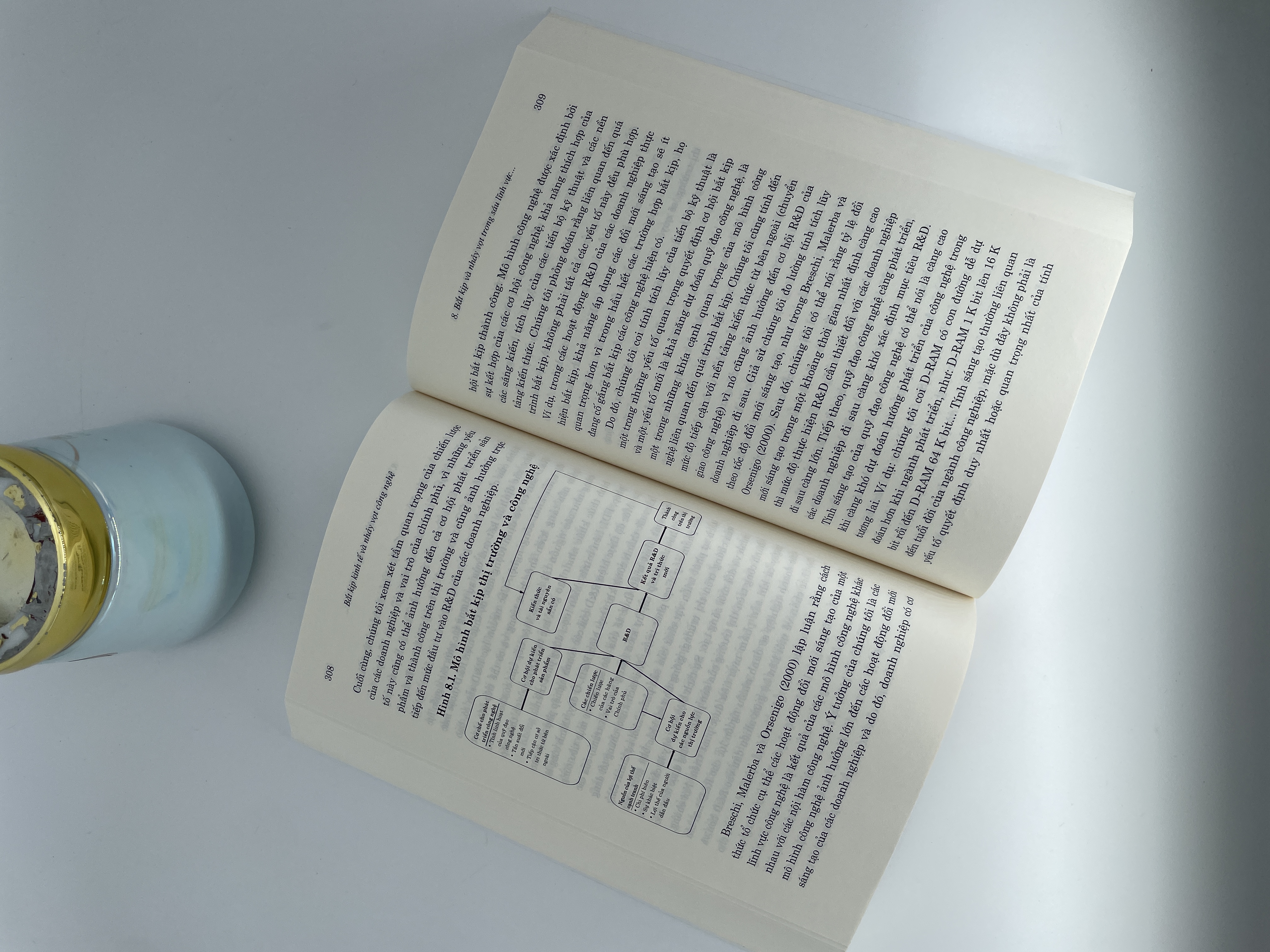 Bắt kịp kinh tế và nhảy vọt công nghệ: Con đường phát triển và ổn định kinh tế vĩ mô ở Hàn Quốc