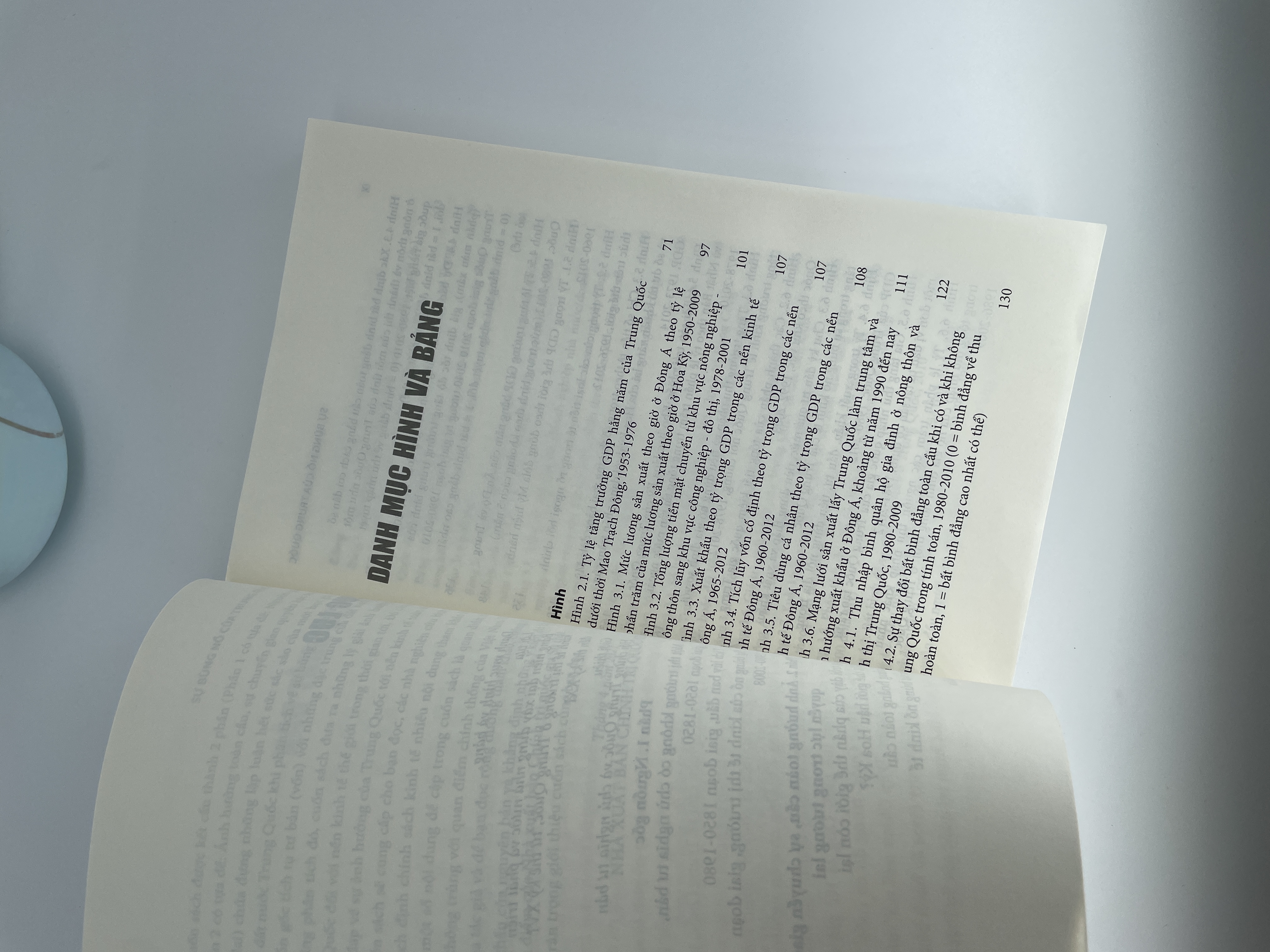 Sự bùng nổ của Trung Quốc (Sách tham khảo)