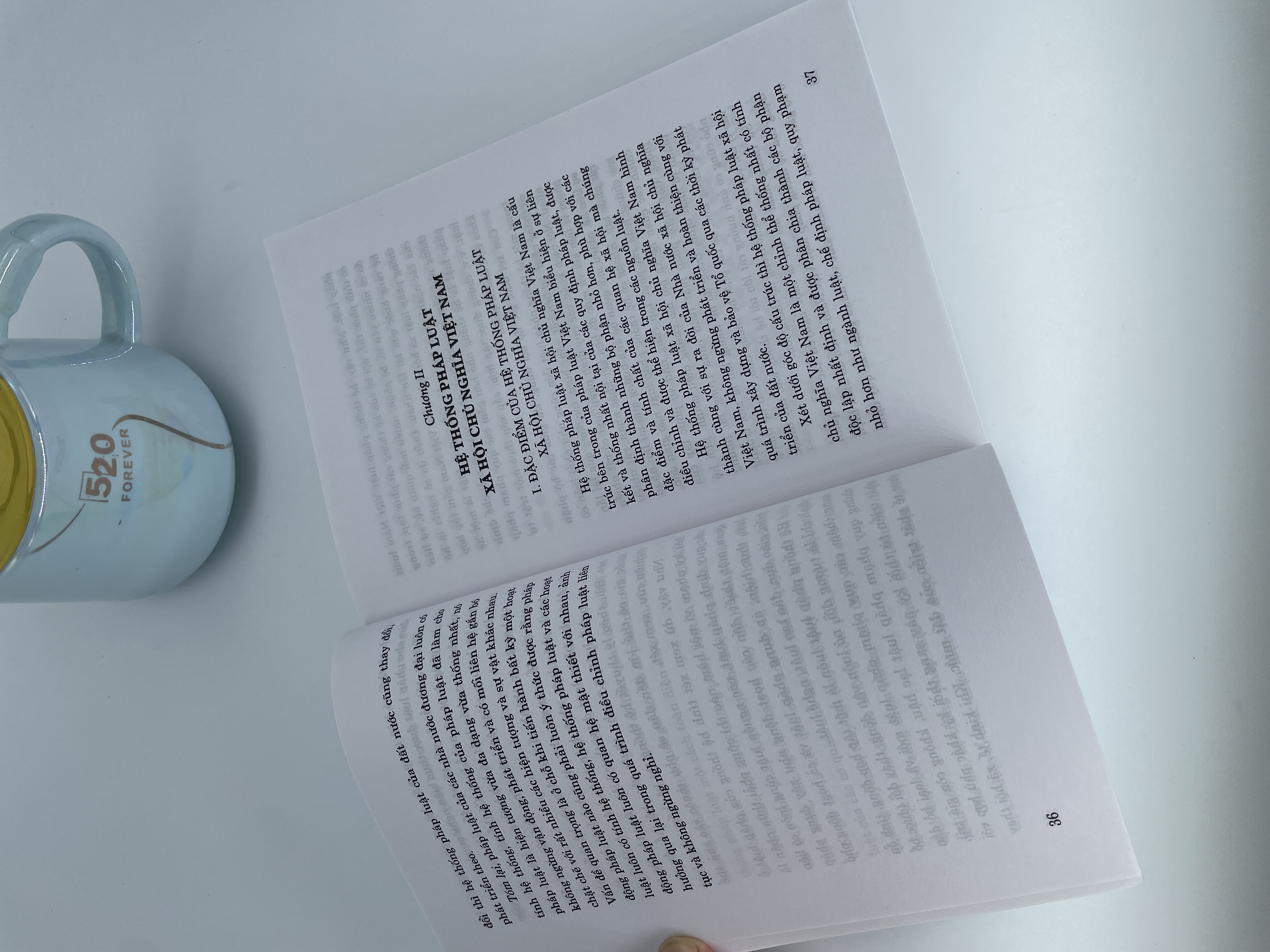 Xây dựng và hoàn thiện hệ thống pháp luật Việt Nam trong bối cảnh xây dựng Nhà nước pháp quyền Xã Hội Chủ Nghĩa