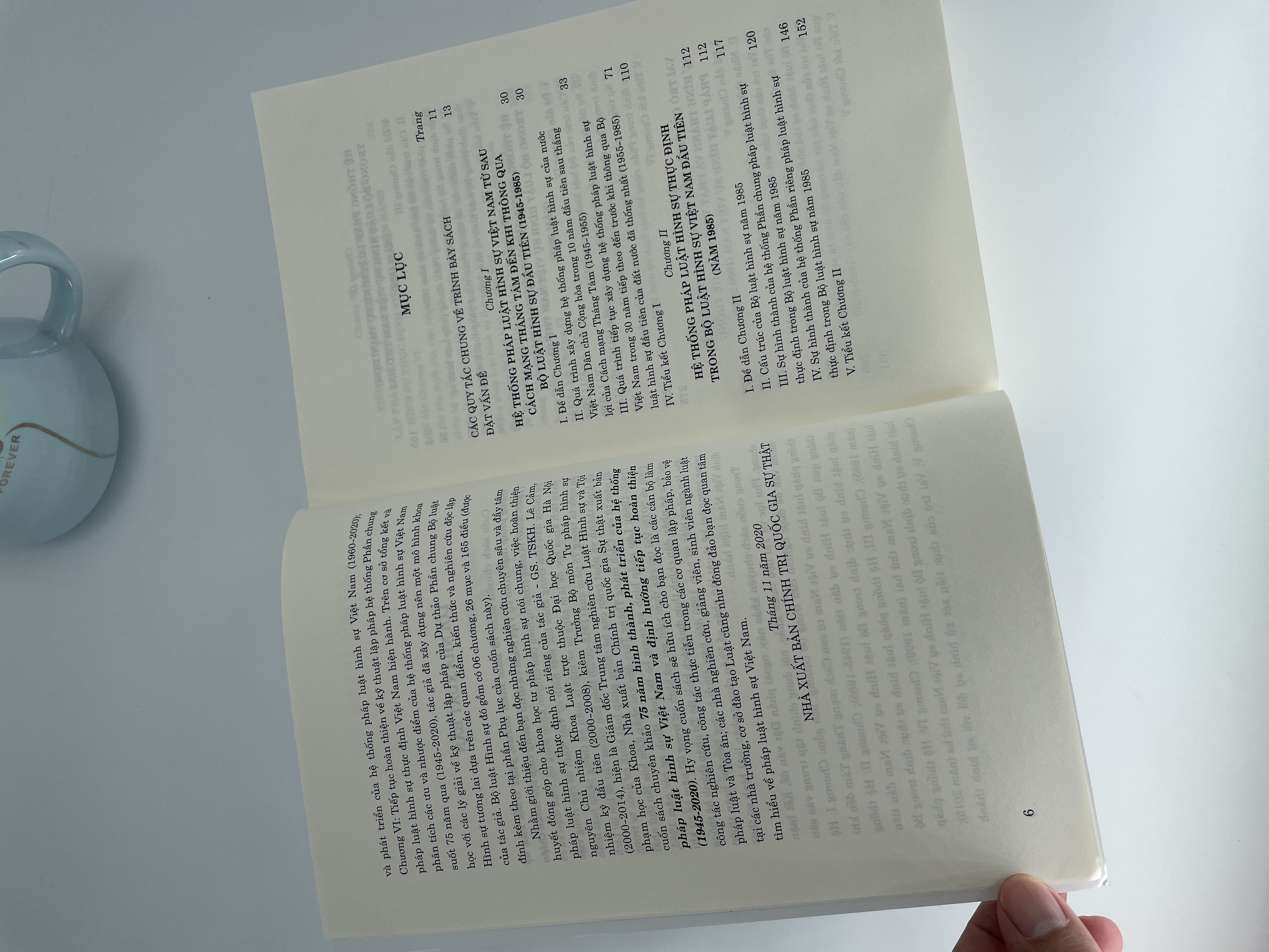75 năm hình thành, phát triển của hệ thống pháp luật hình sự Việt Nam và định hướng tiếp tục hoàn thiện (1945 - 2020)