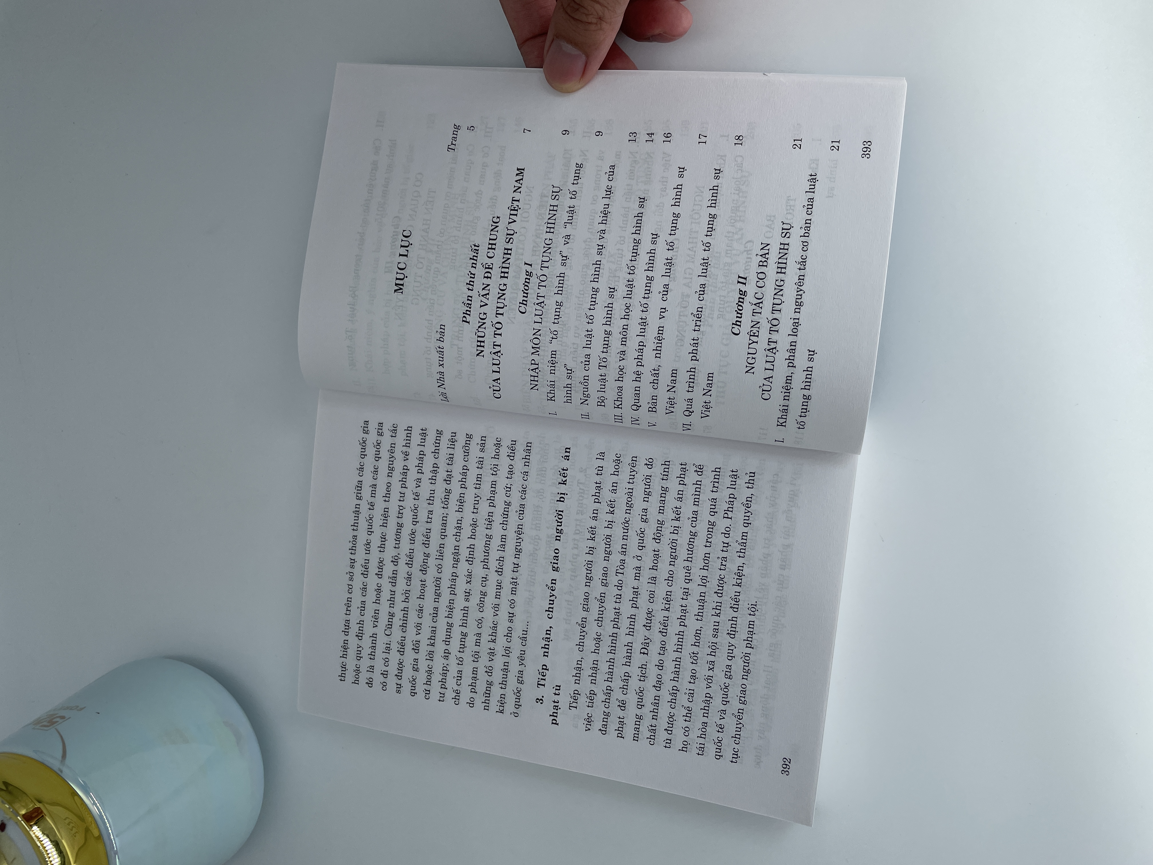 Tài liệu hướng dẫn môn học Luật tố tụng hình sự Việt Nam