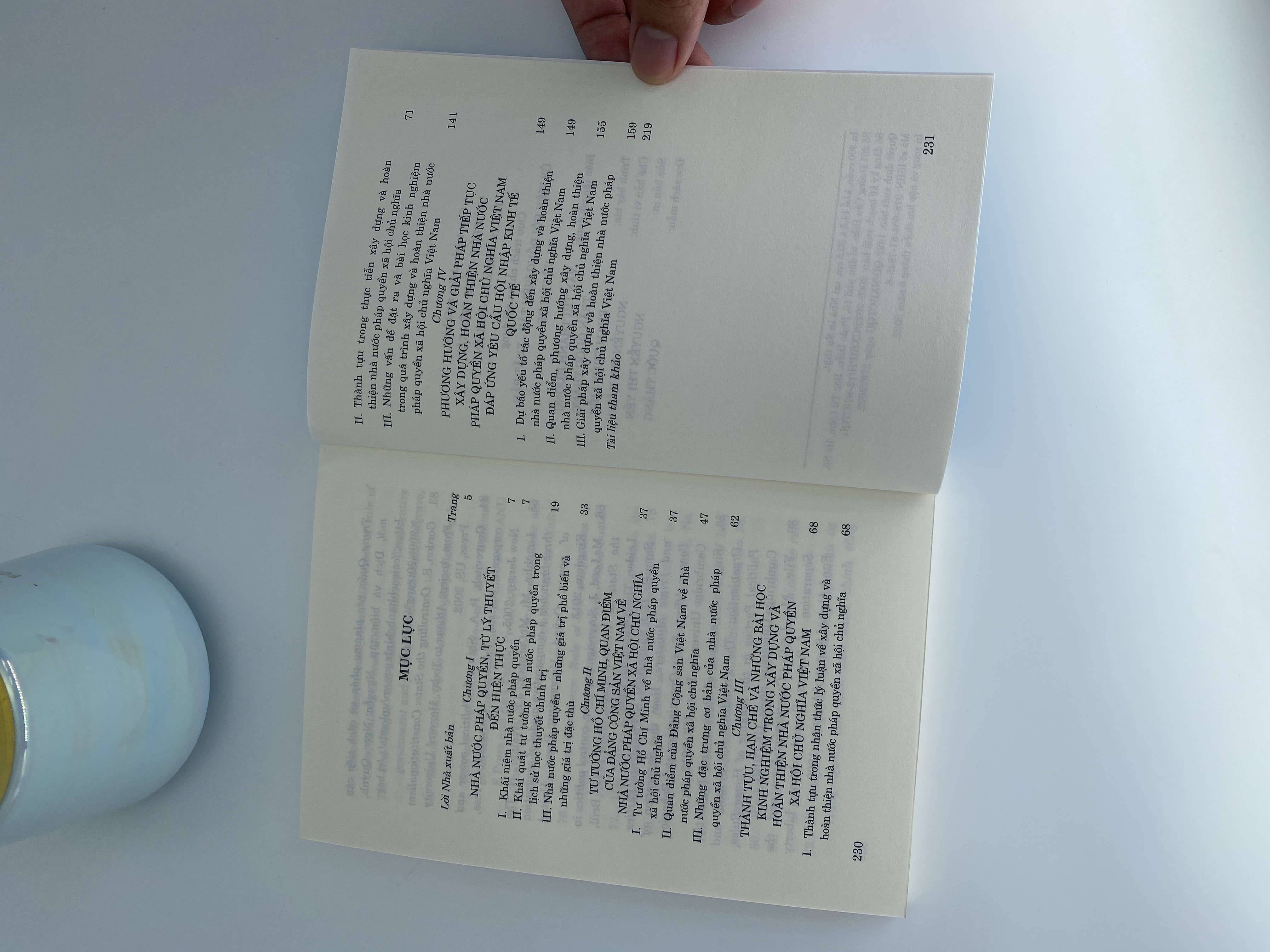 Xây dựng nhà nước pháp quyền xã hội chủ nghĩa Việt Nam trong điều kiện hội nhập kinh tế quốc tế (Sách chuyên khảo)