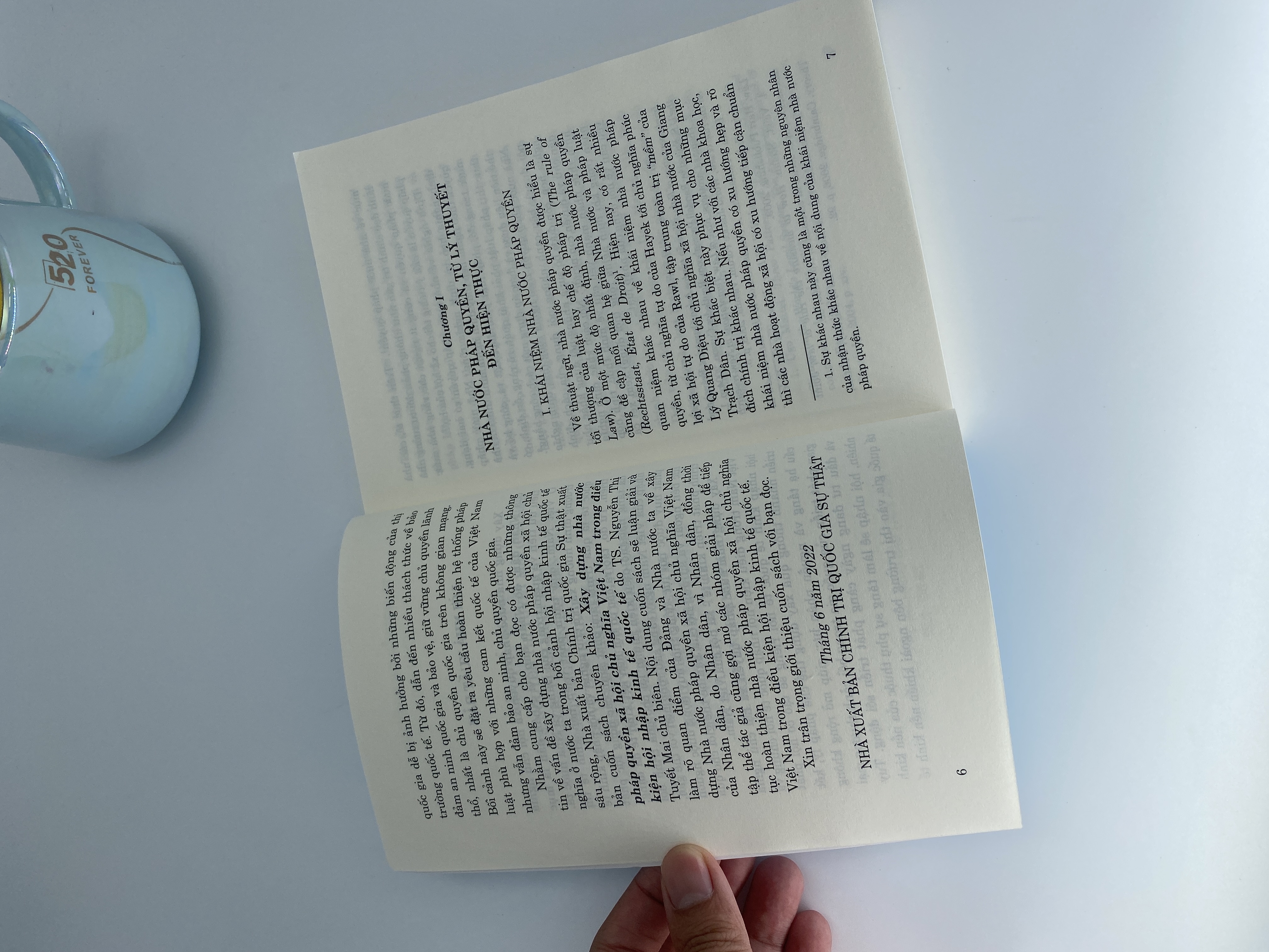 Xây dựng nhà nước pháp quyền xã hội chủ nghĩa Việt Nam trong điều kiện hội nhập kinh tế quốc tế (Sách chuyên khảo)