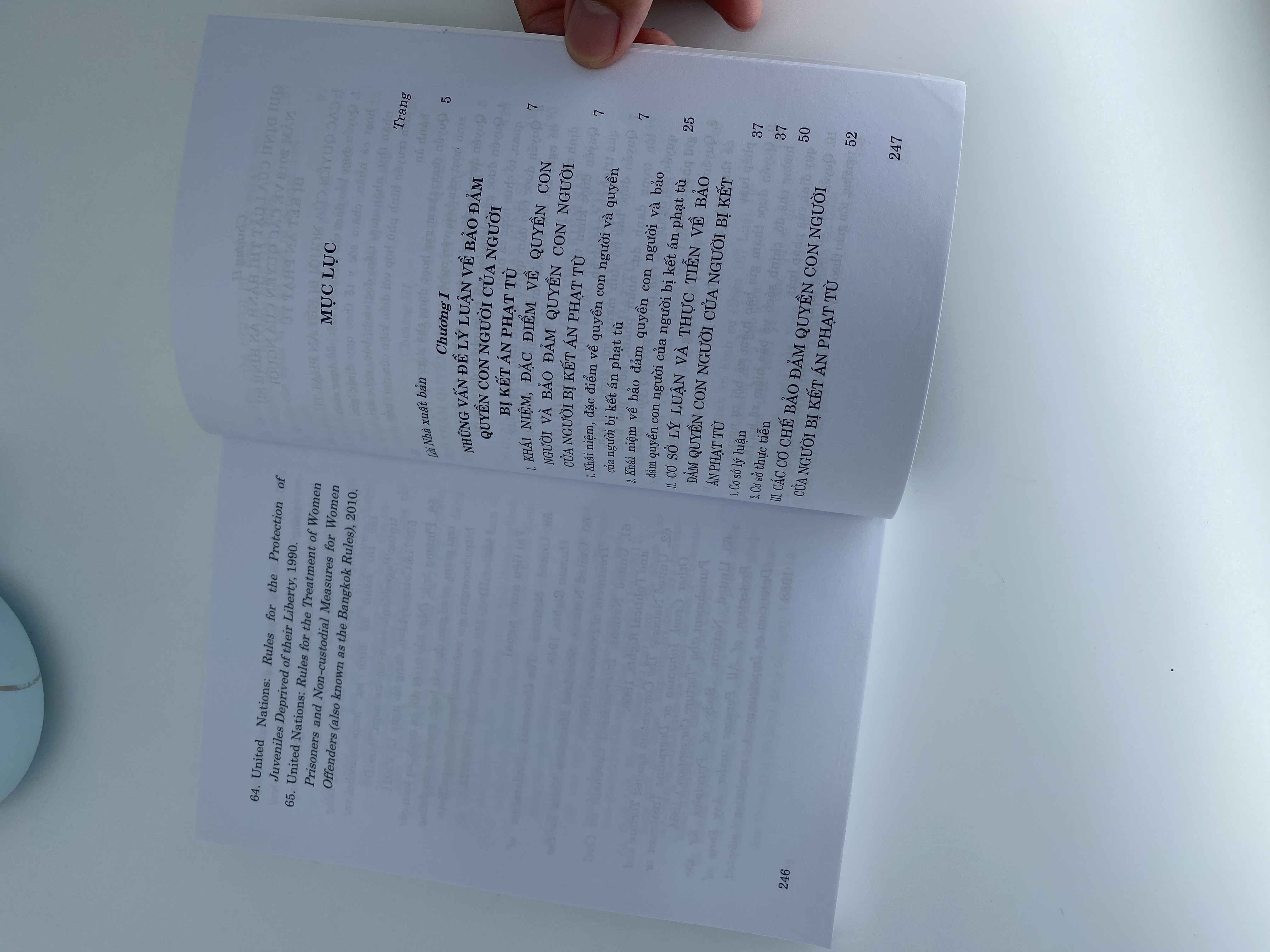 Bảo đảm quyền con người trong thi hành án phạt tù tại Việt Nam (Sách chuyên khảo)