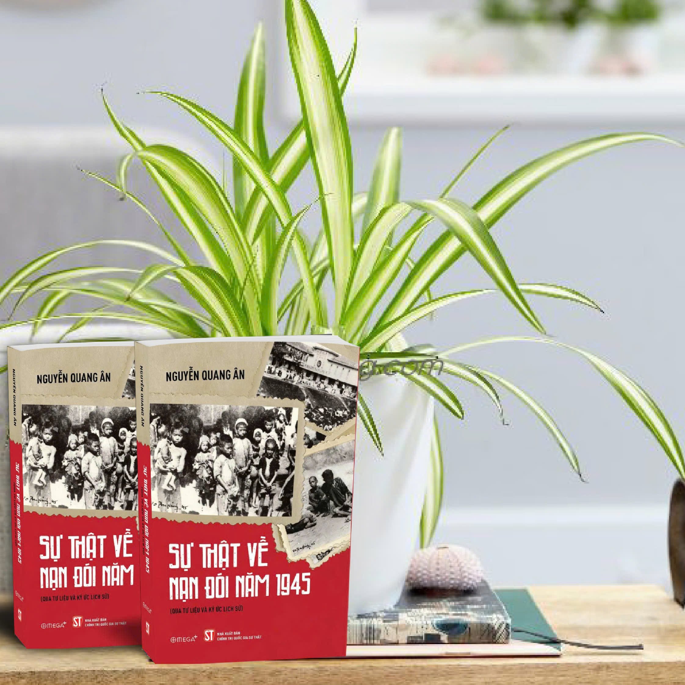 Sự thật về nạn đói  năm 1945 (Qua tư liệu và ký ức lịch sử)