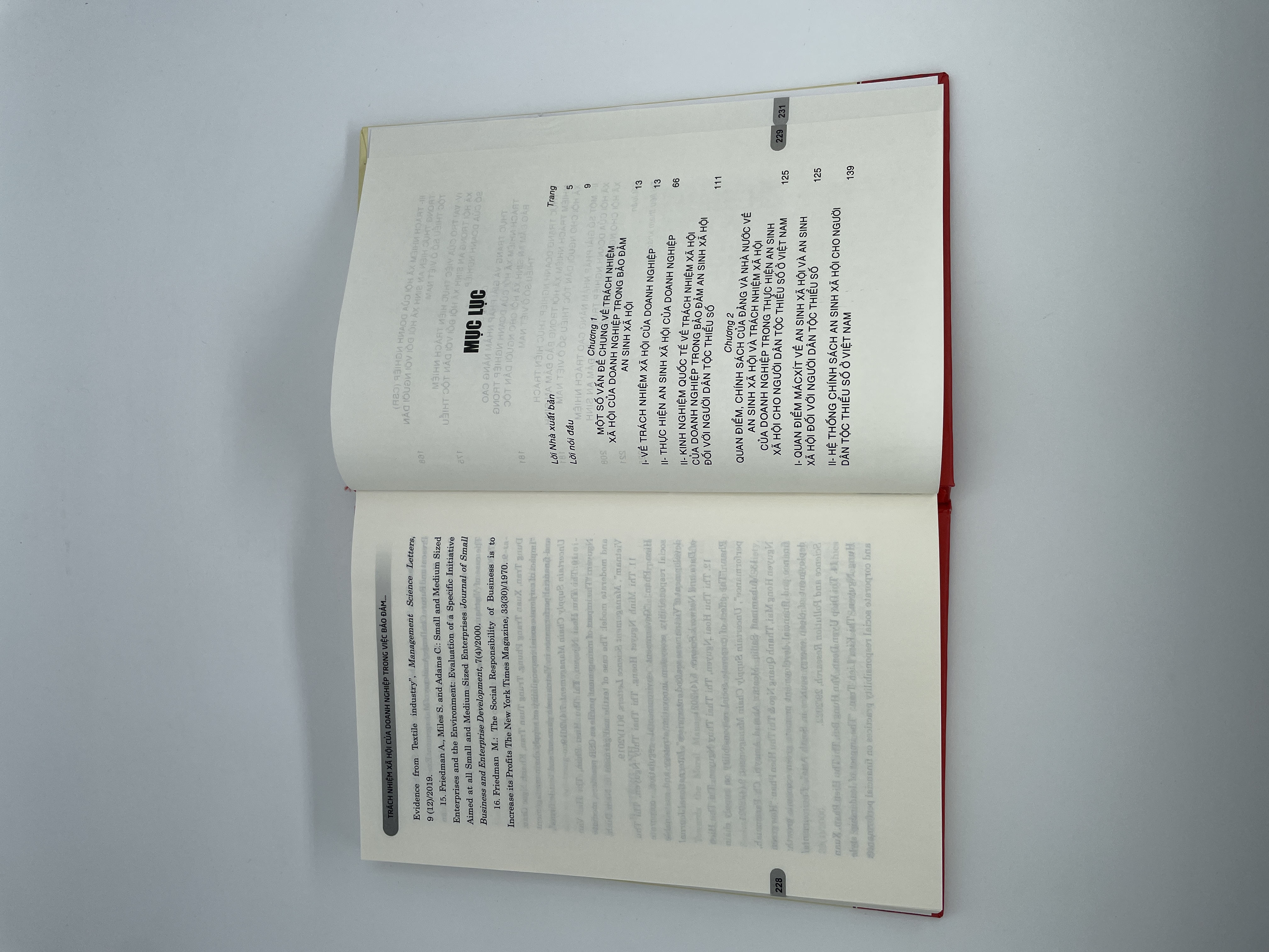 Trách nhiệm xã hội của doanh nghiệp trong việc bảo đảm an sinh xã hội cho người dân tộc thiểu số ở Việt Nam