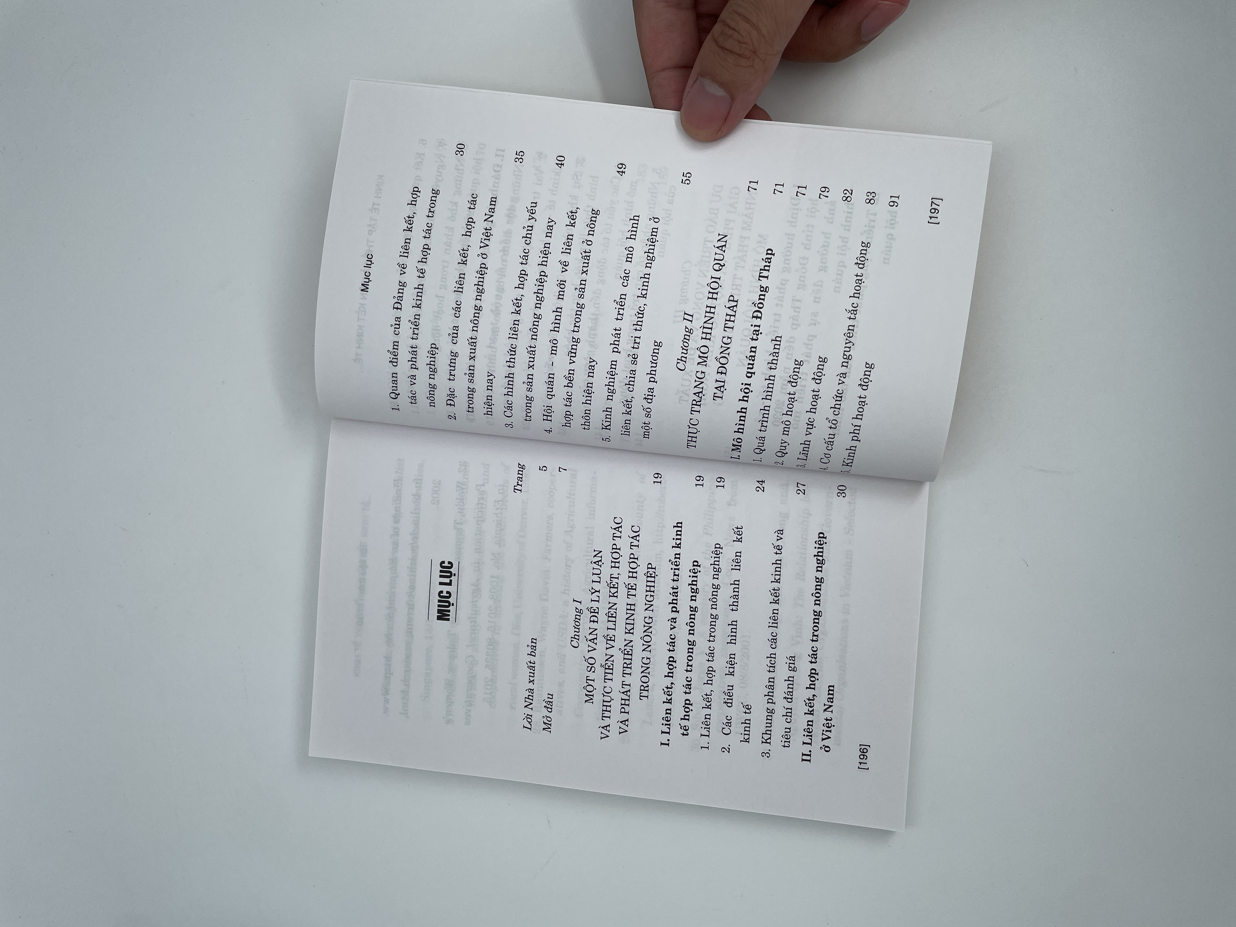 Kinh tế tập thể và liên kết kinh tế  nhìn từ mô hình hội quản tỉnh Đồng Tháp