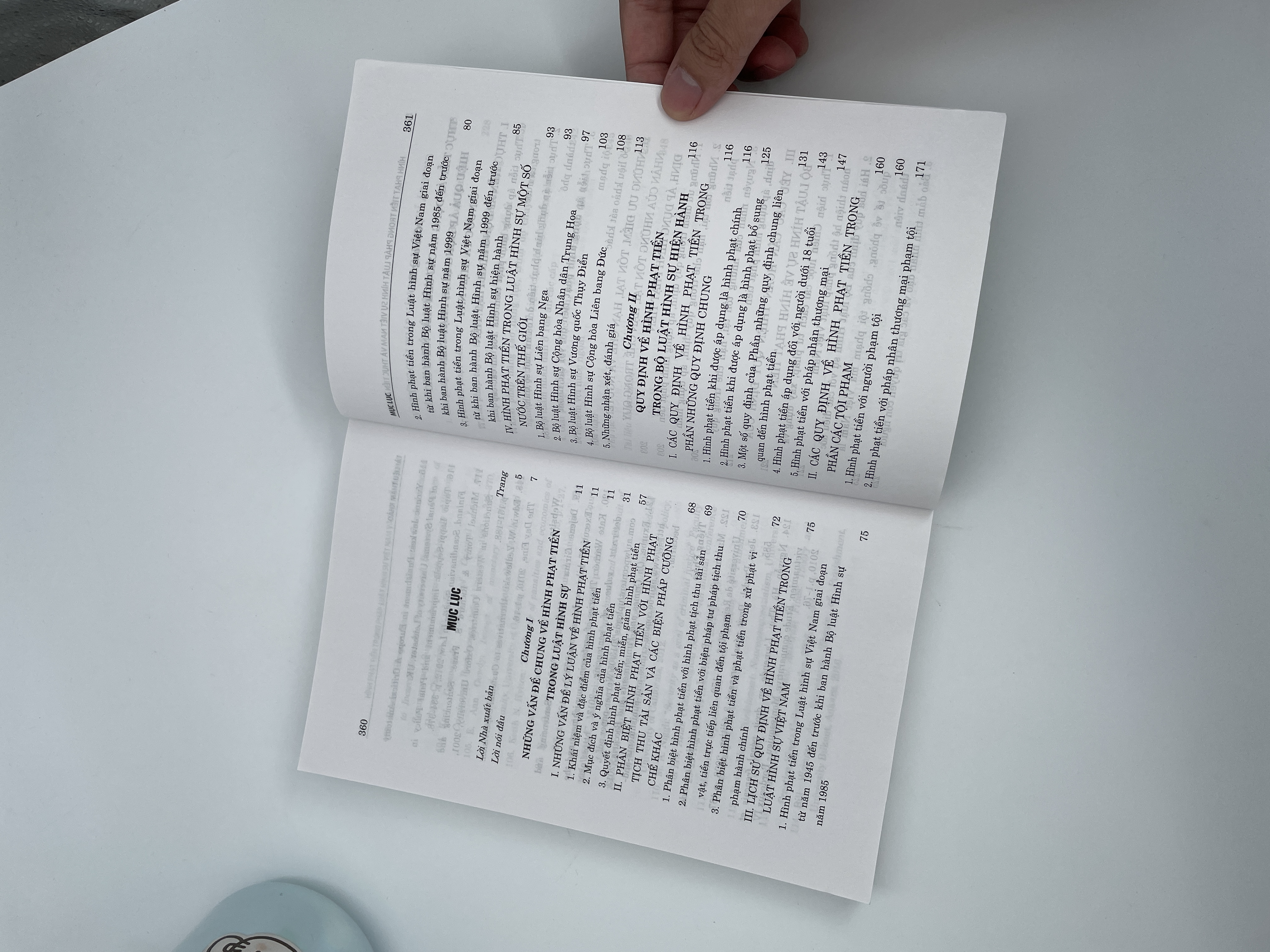 Hình phạt tiền trong pháp luật hình sự Việt Nam và thực tiễn áp dụng (Sách chuyên khảo)