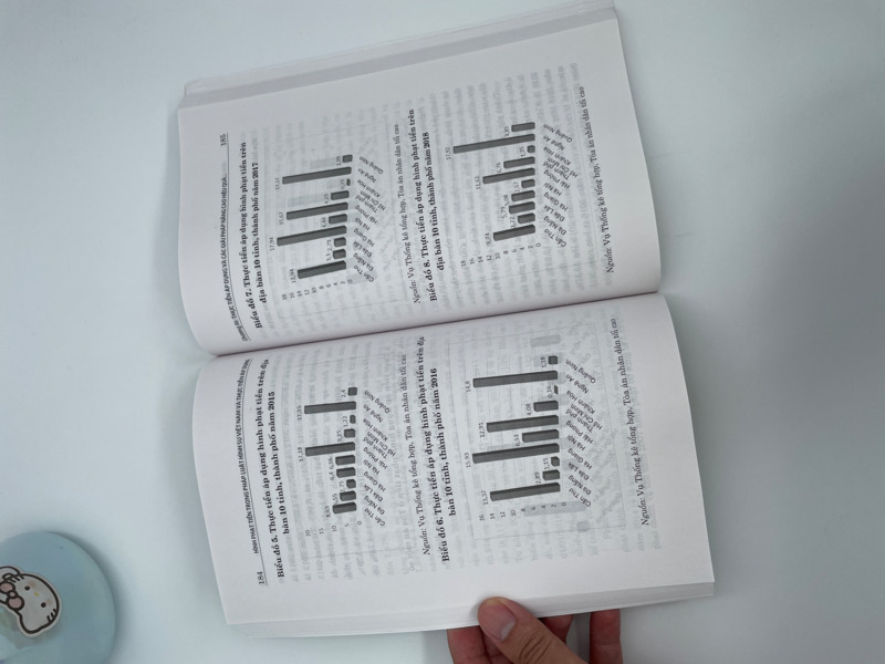 Hình phạt tiền trong pháp luật hình sự Việt Nam và thực tiễn áp dụng (Sách chuyên khảo)