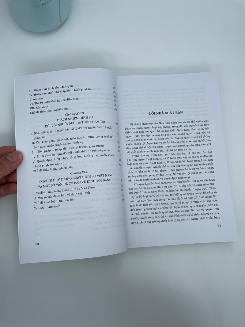 Tổng quan Luật hình sự Việt Nam (Tái bản, có sửa chữa, bổ sung)