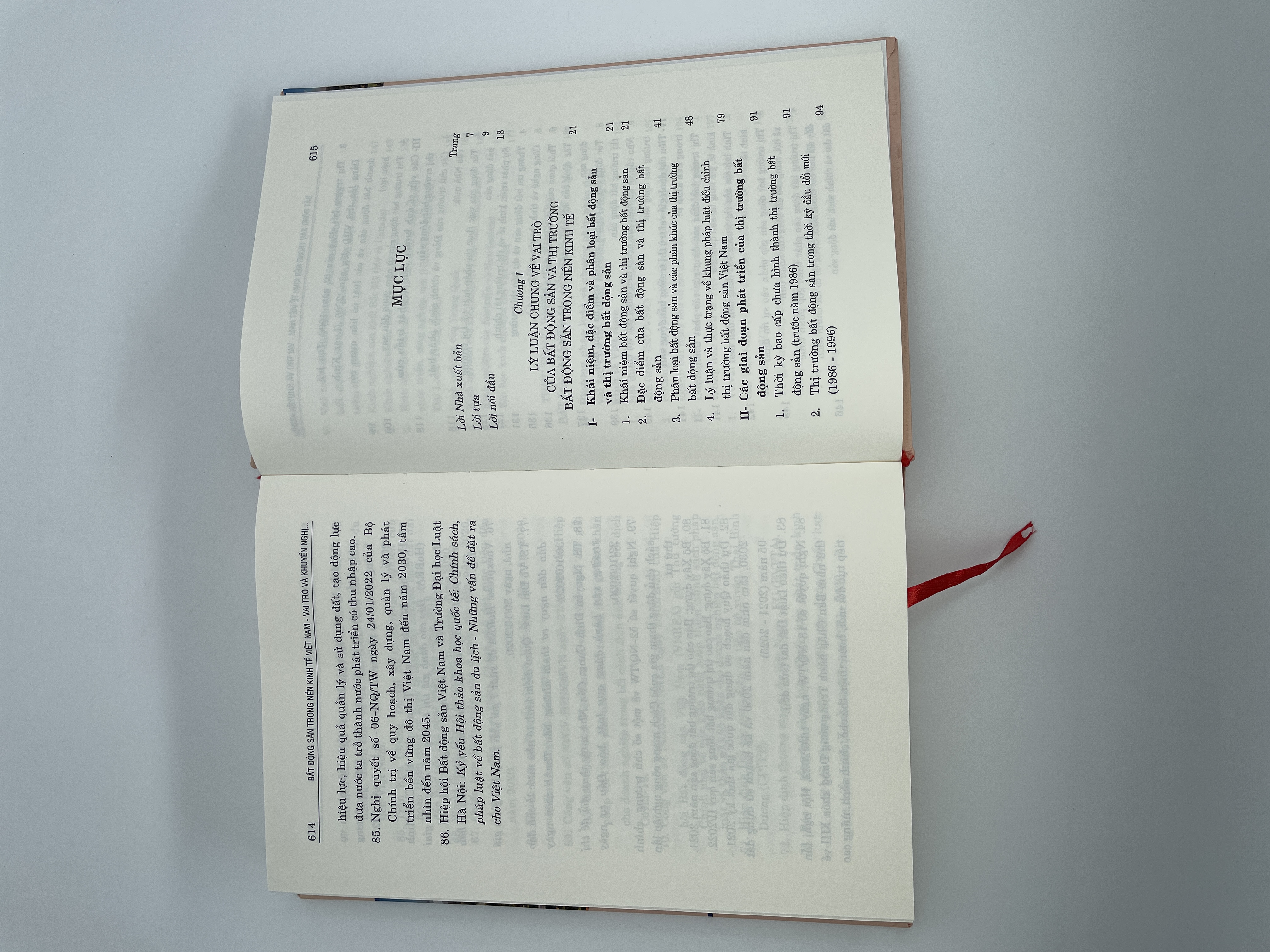 Bất động sản trong nền kinh tế Việt Nam: Vai trò và khuyến nghị chính sách (Sách chuyên khảo)