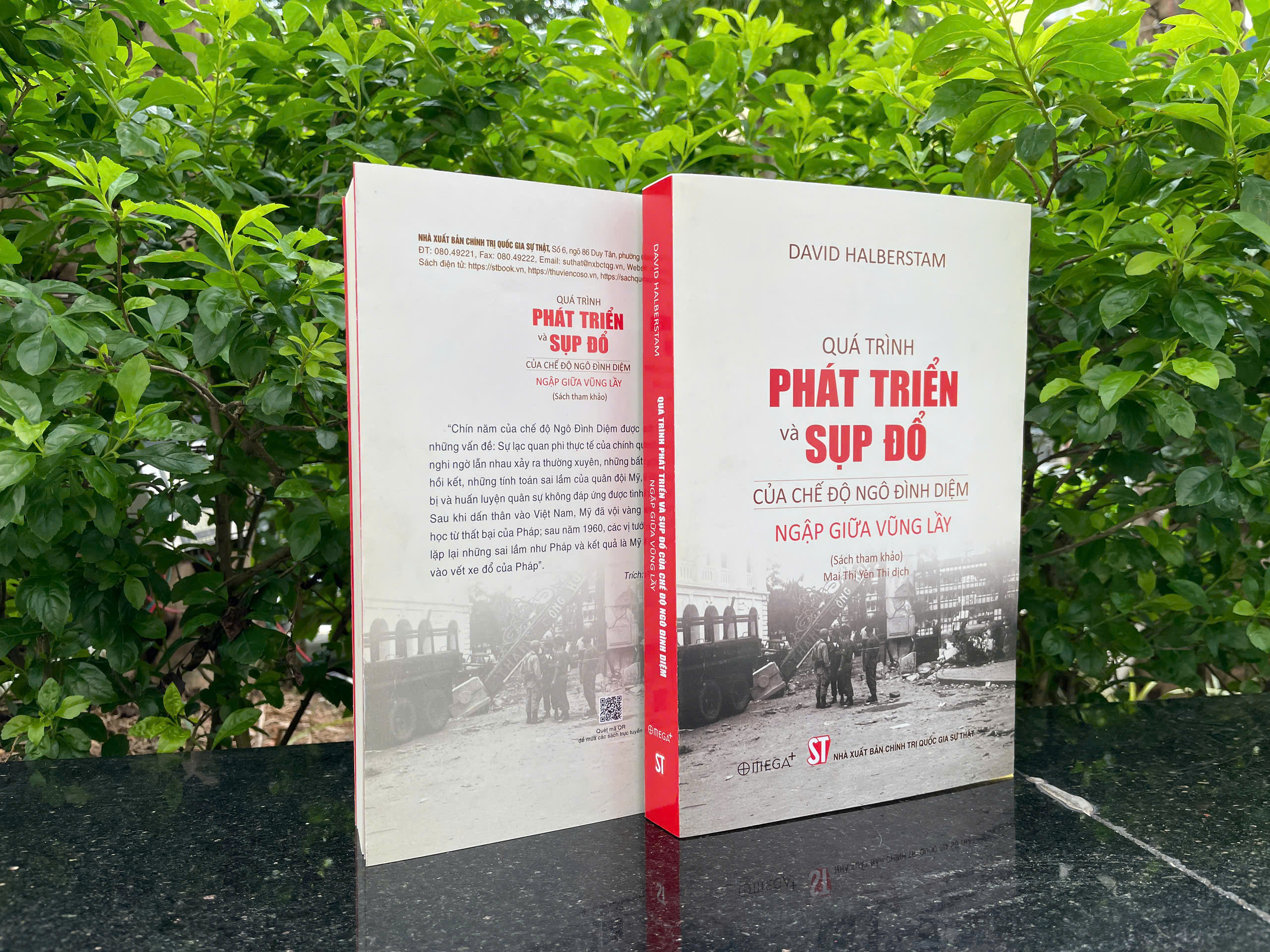 Quá trình phát triển và sụp đổ của chế độ Ngô Đình Diệm - Ngập giữa vũng lầy (Sách tham khảo)