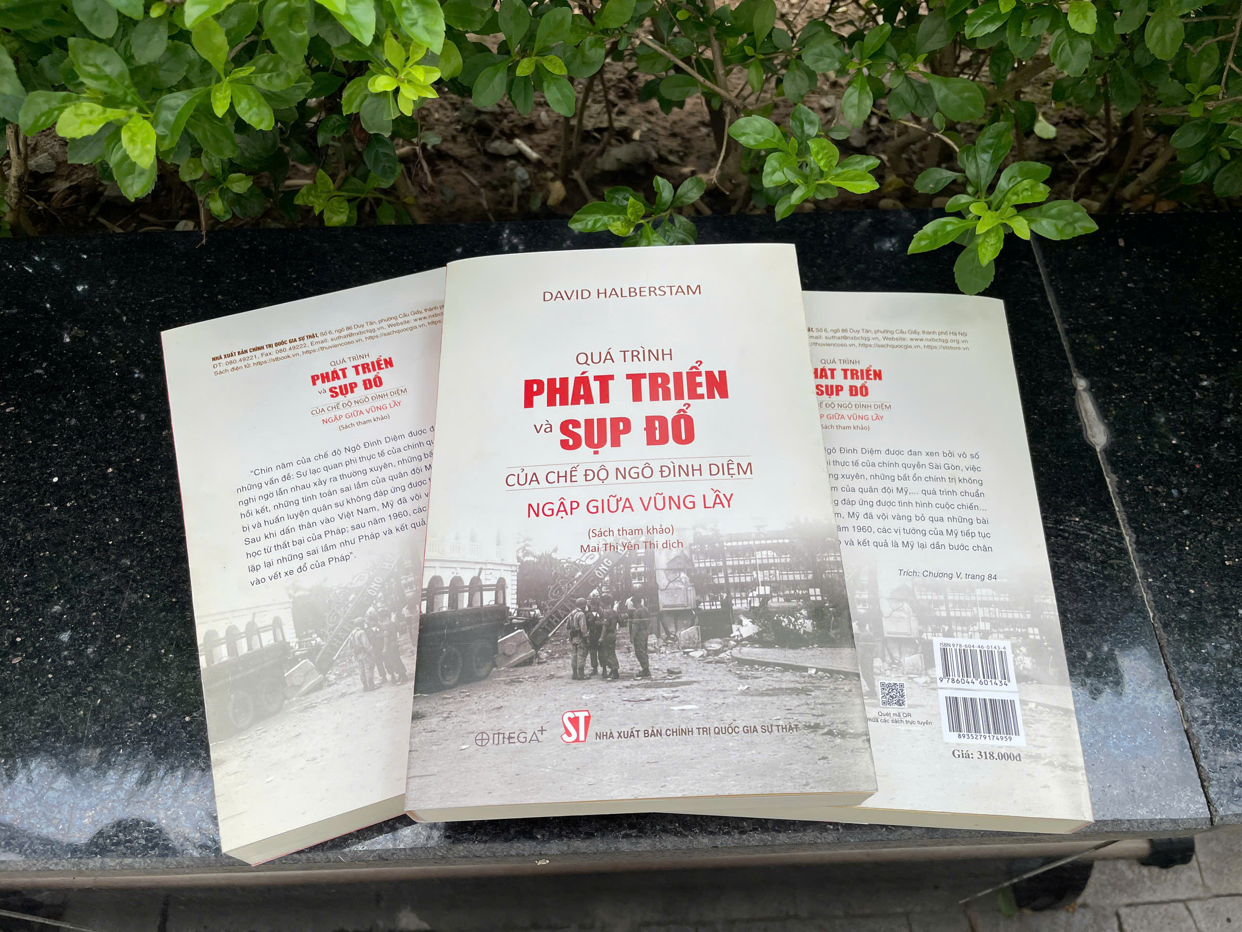 Quá trình phát triển và sụp đổ của chế độ Ngô Đình Diệm - Ngập giữa vũng lầy (Sách tham khảo)