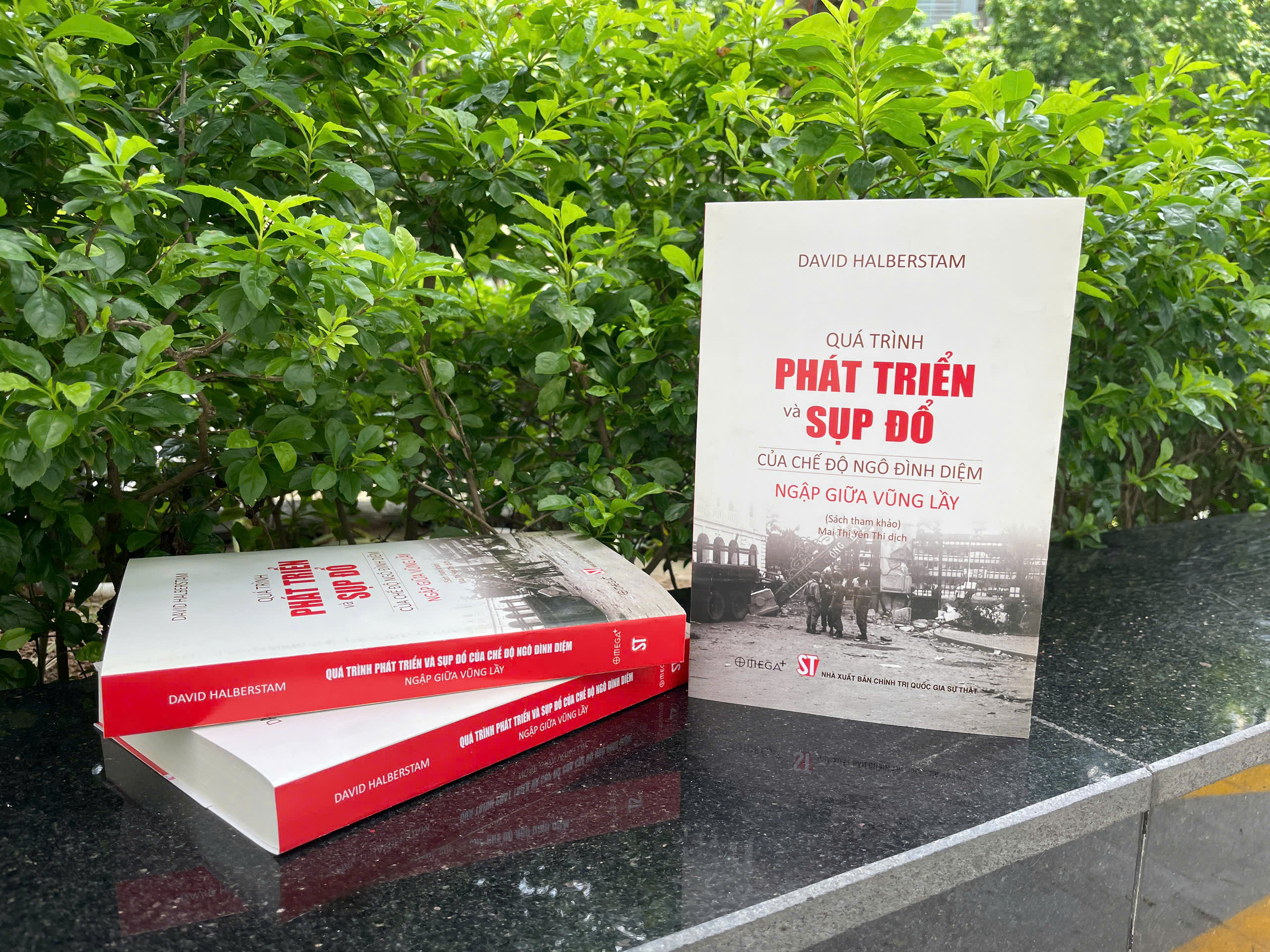 Quá trình phát triển và sụp đổ của chế độ Ngô Đình Diệm - Ngập giữa vũng lầy (Sách tham khảo)